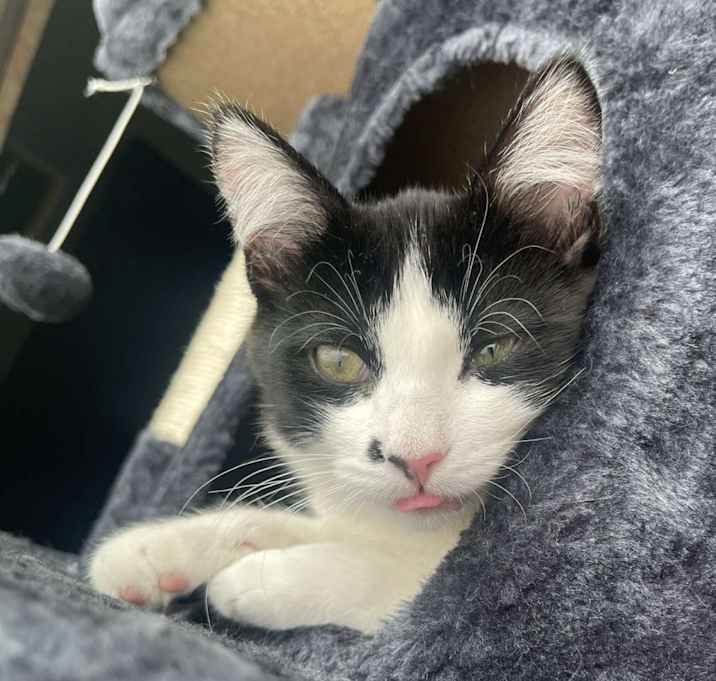Photo of Jasper