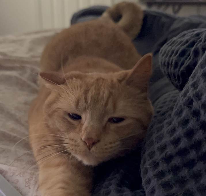 Photo of Delilah