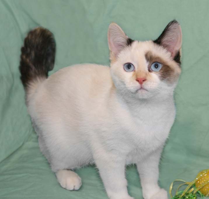Photo of Kalliope