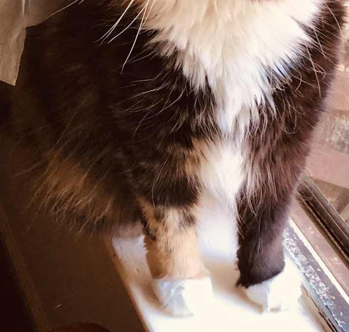 Photo of Maggie Mae