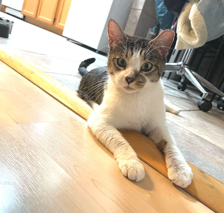 Photo of Sophia