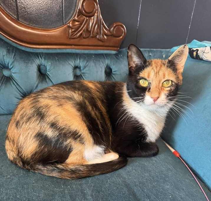 Photo of Valentina