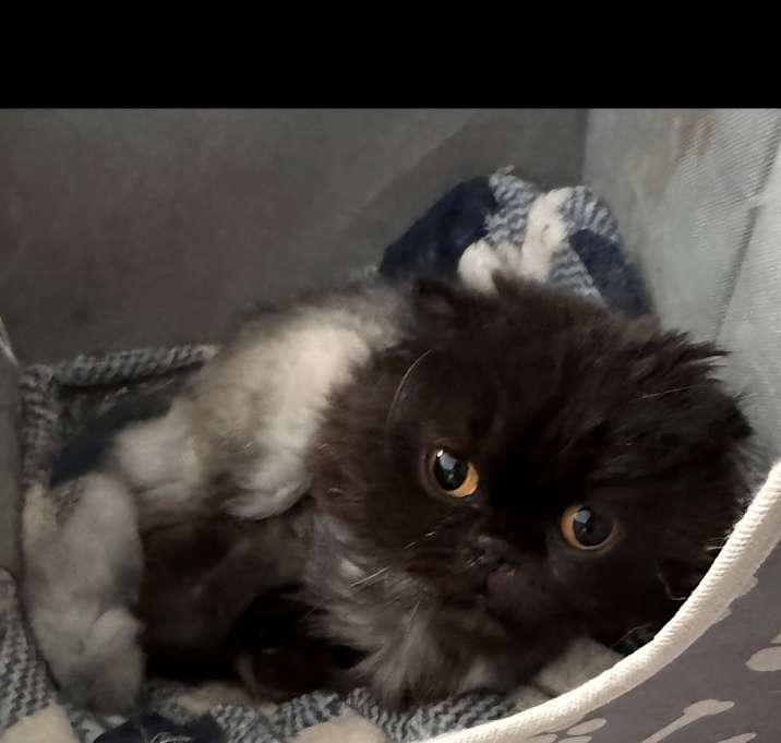 Photo of Clara
