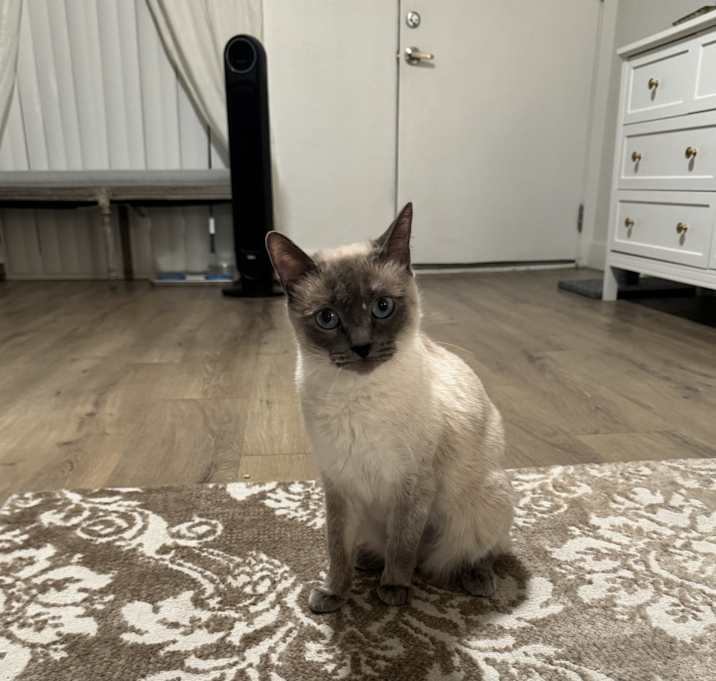 Photo of Elenor