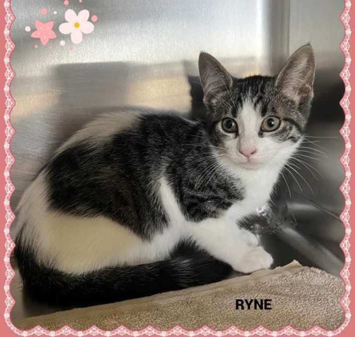 Photo of Ryne