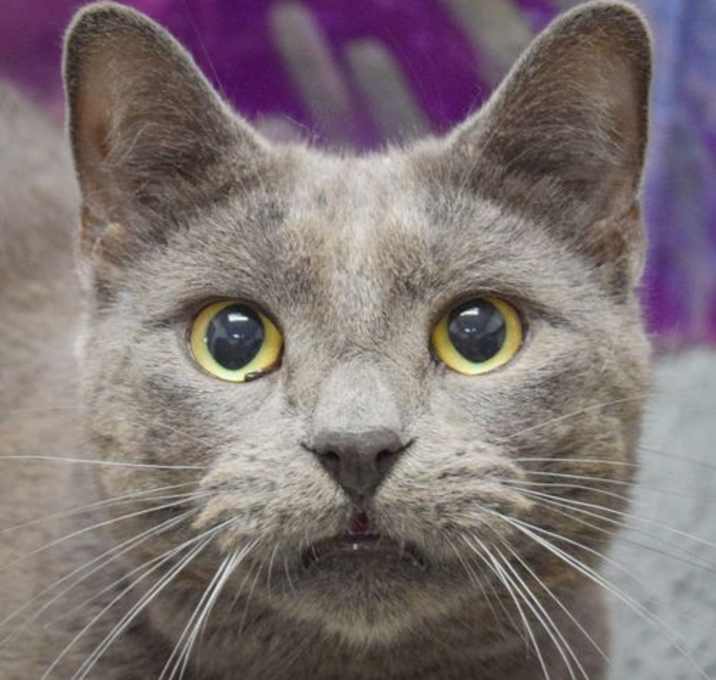 Photo of Charcoal