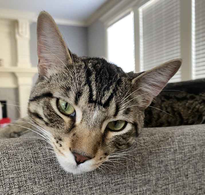 Photo of Bennie