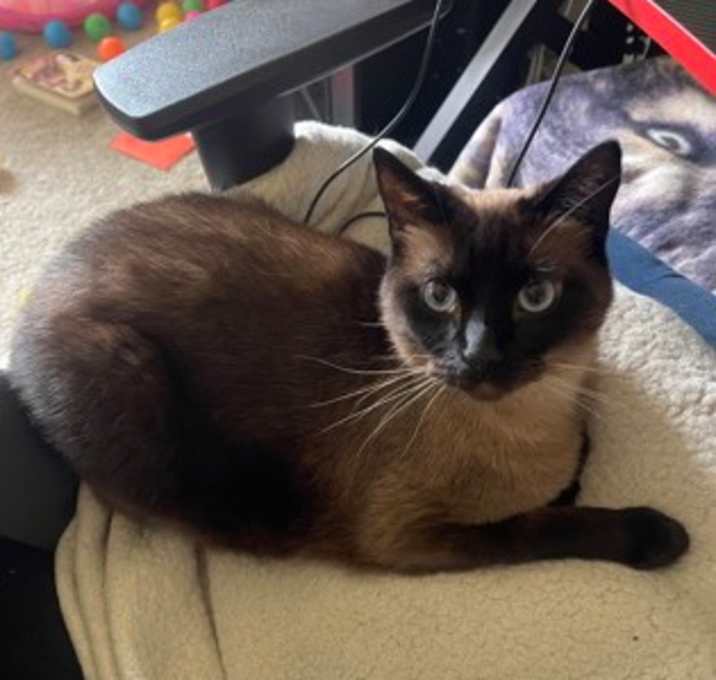 Photo of Maru