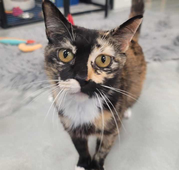 Photo of Amelia