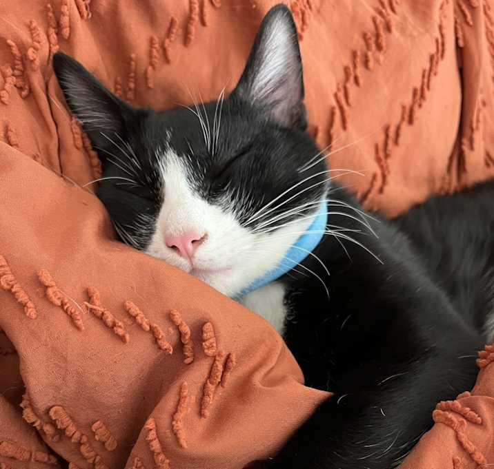 Photo of Fernando