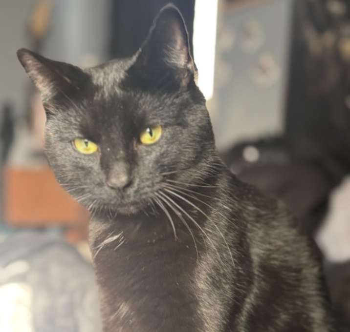 Photo of Salem