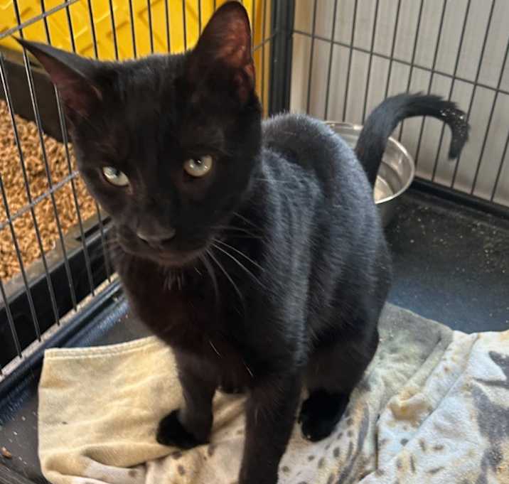 Photo of Bingo