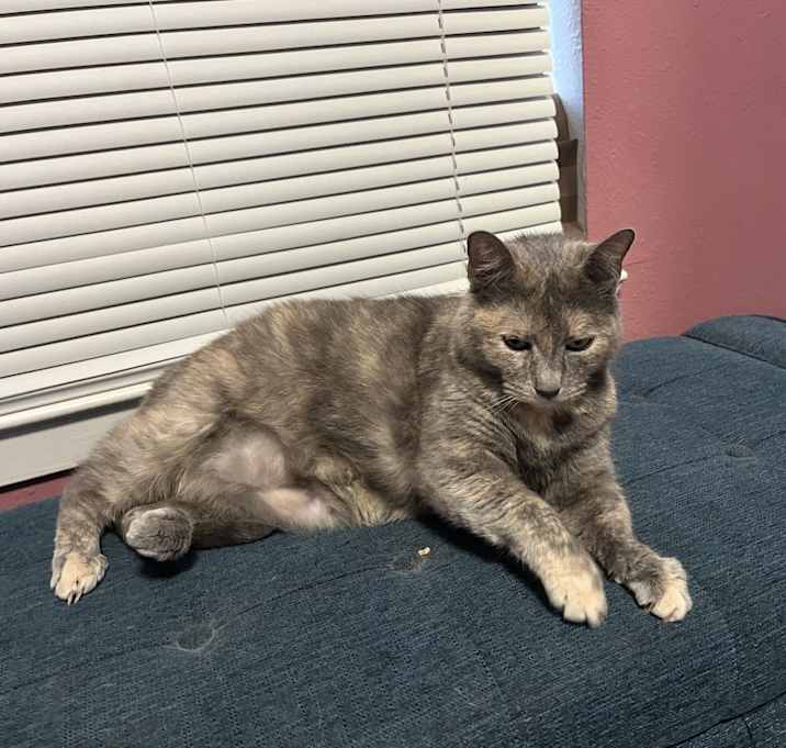 Photo of Edie