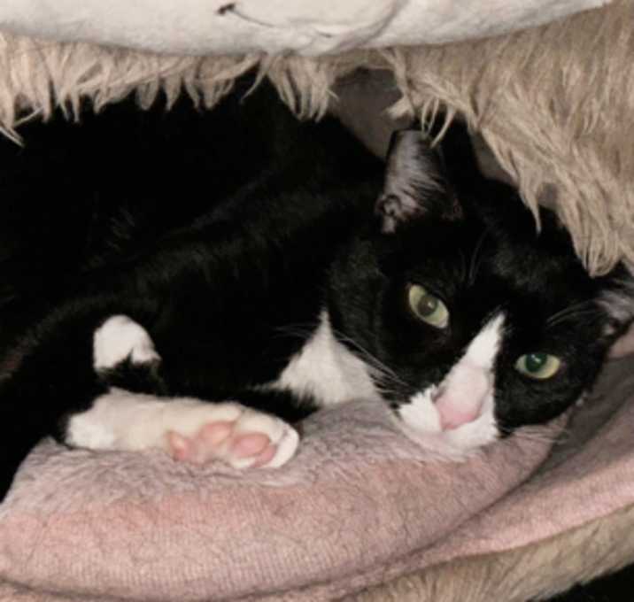Photo of Sugar