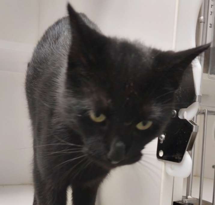 Photo of Squirt