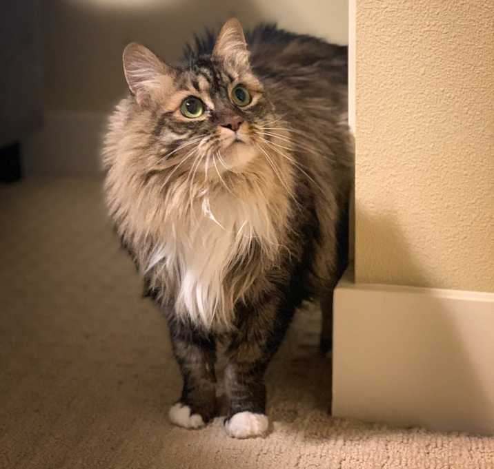 Photo of Ruby