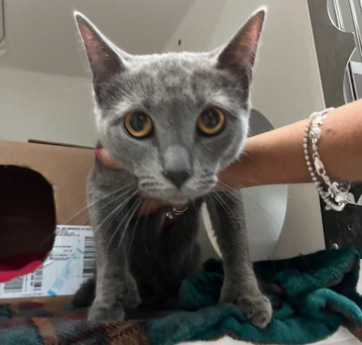 Photo of Tumble