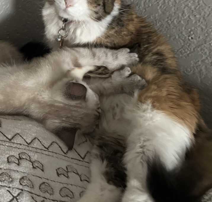 Photo of Baby