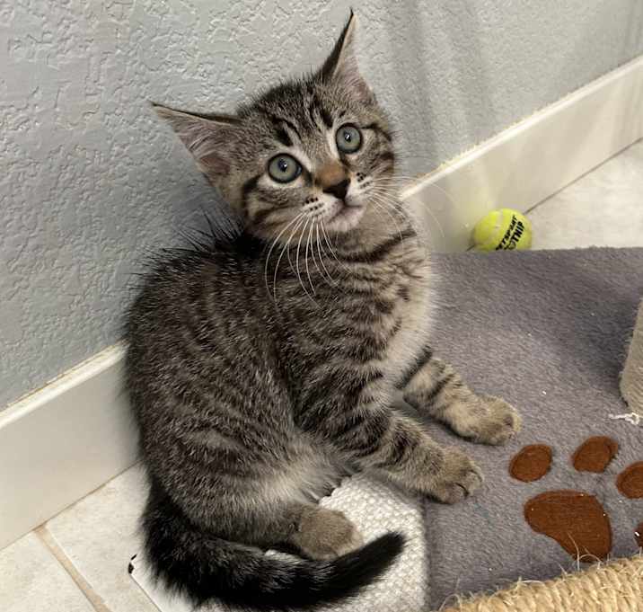 Photo of Milo