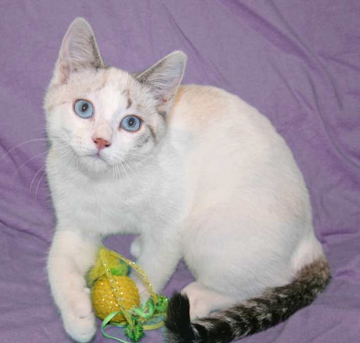 Photo of Kimber