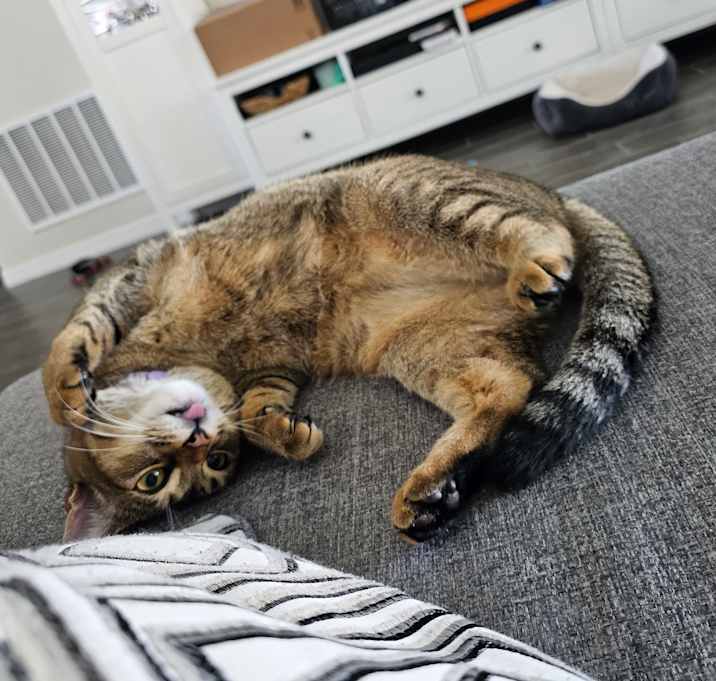 Photo of Jinx