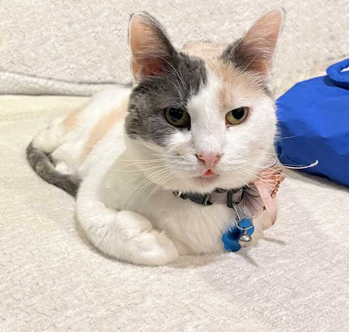 Photo of Cassie