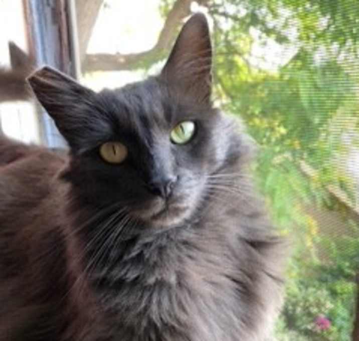 Photo of Finn