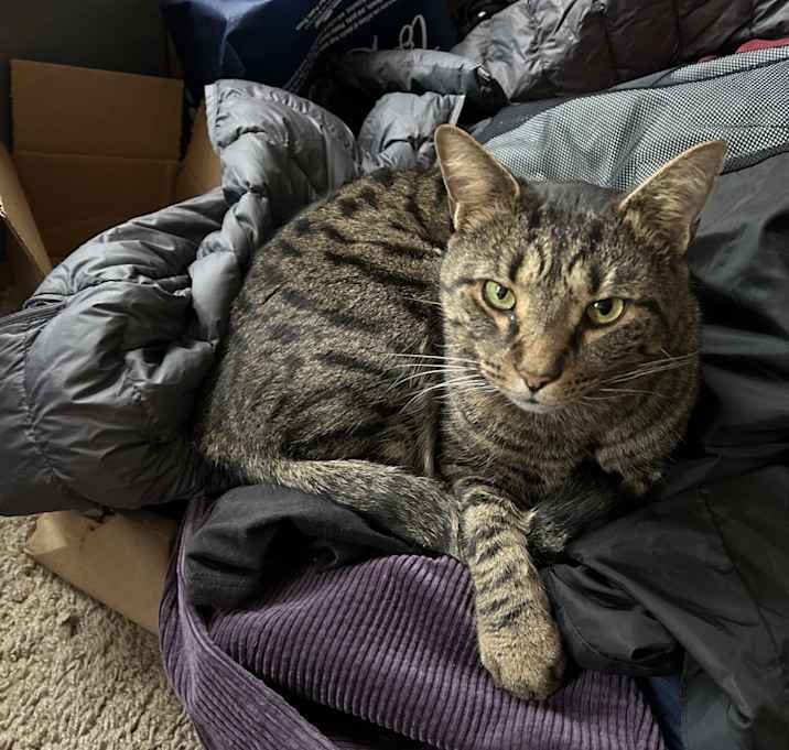Photo of Winston
