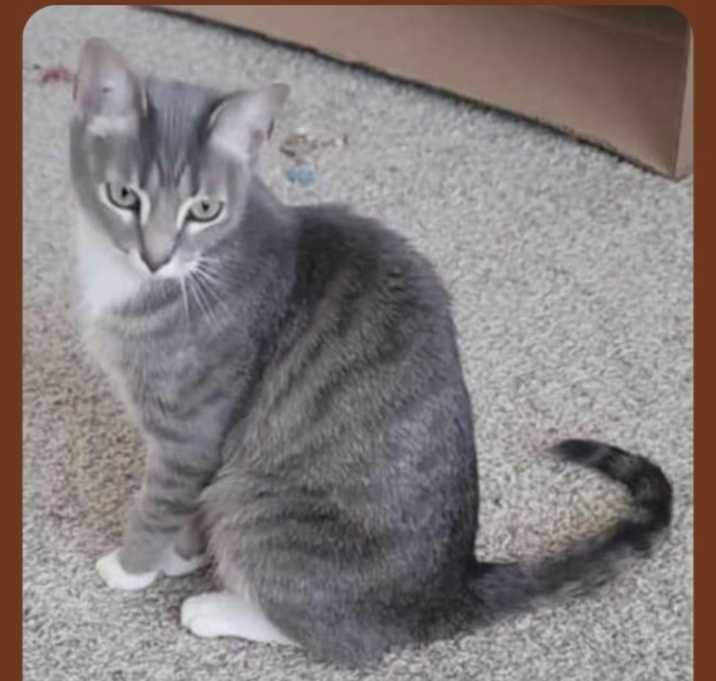 Photo of Hercules