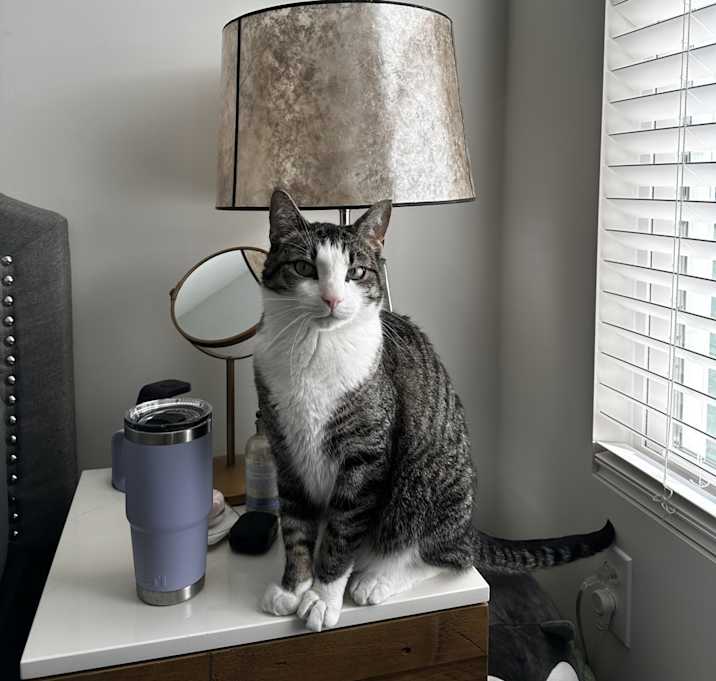 Photo of Bubba