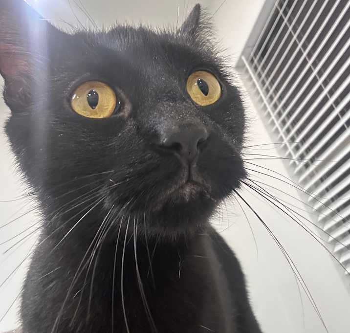 Photo of Morty