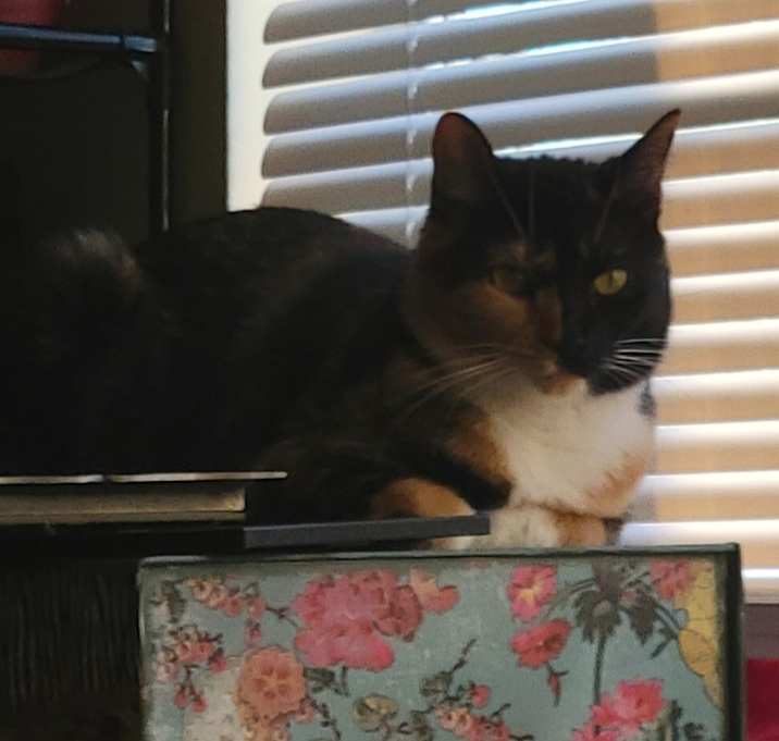 Photo of Marble