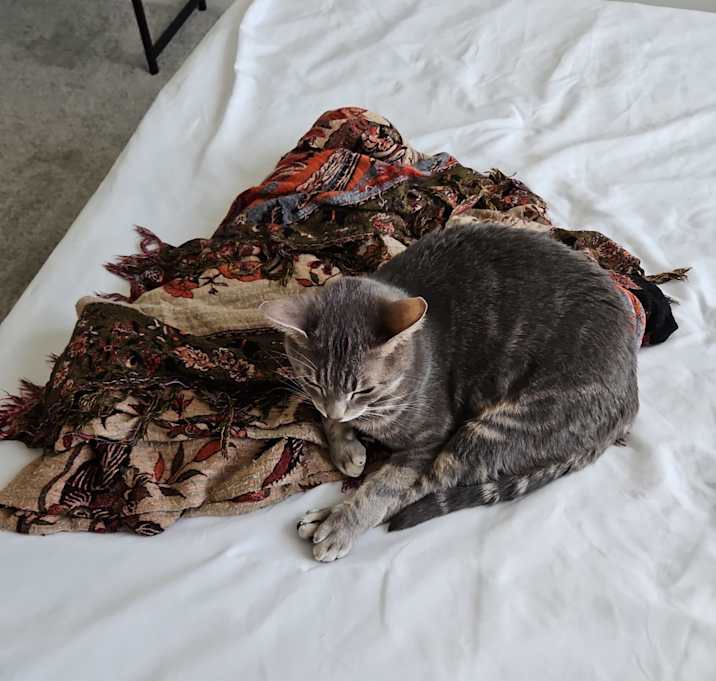 Photo of Yama