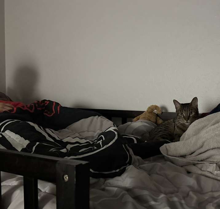 Photo of Milo