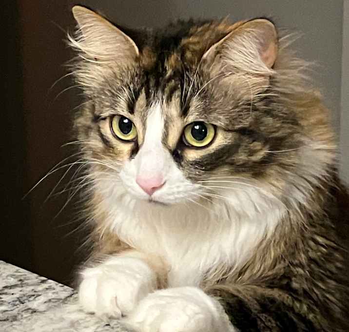 Photo of Cleo