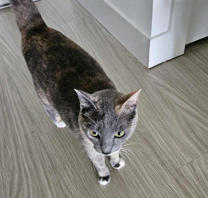 Photo of Yuki