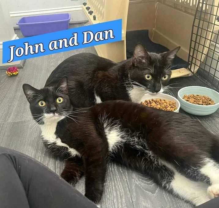 Photo of Dan (Blues Brothers)