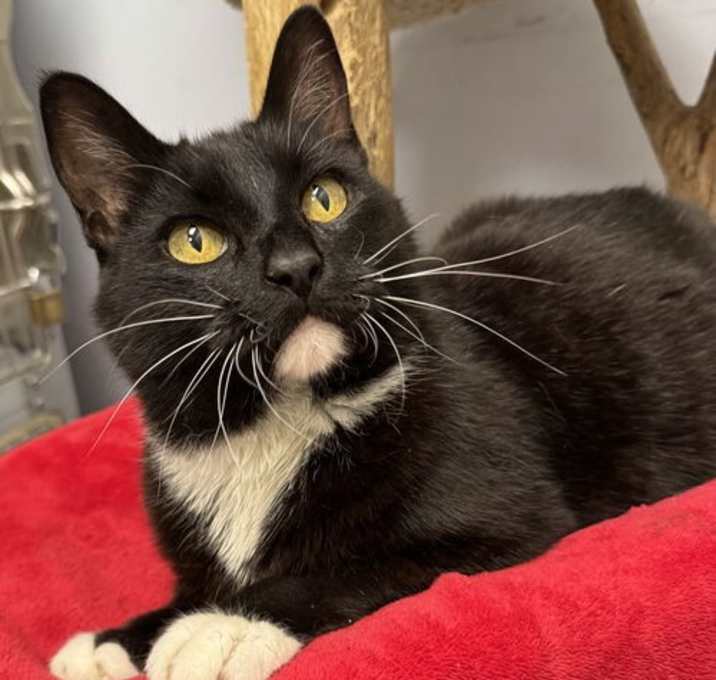 Photo of Hugo