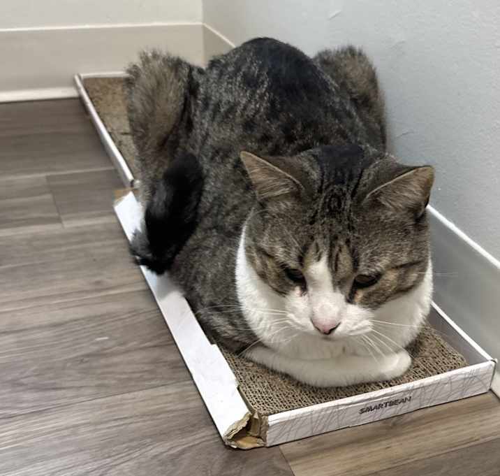 Photo of Tom