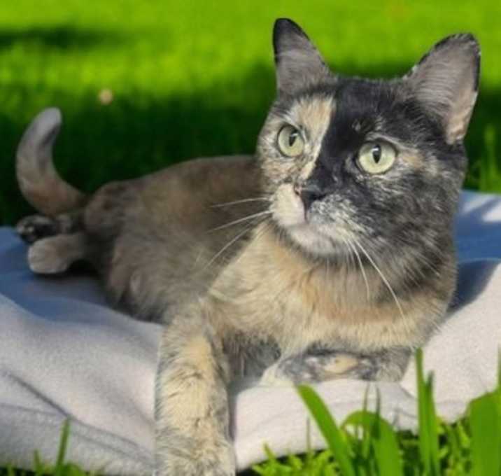 Photo of Cleopatra