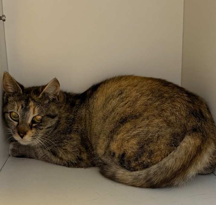 Photo of Nellie