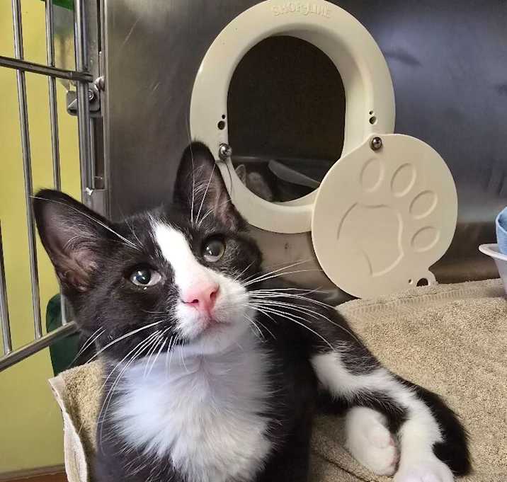 Photo of Jeffrey