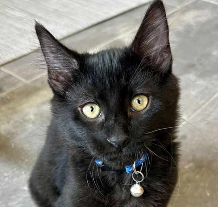 Photo of Jet