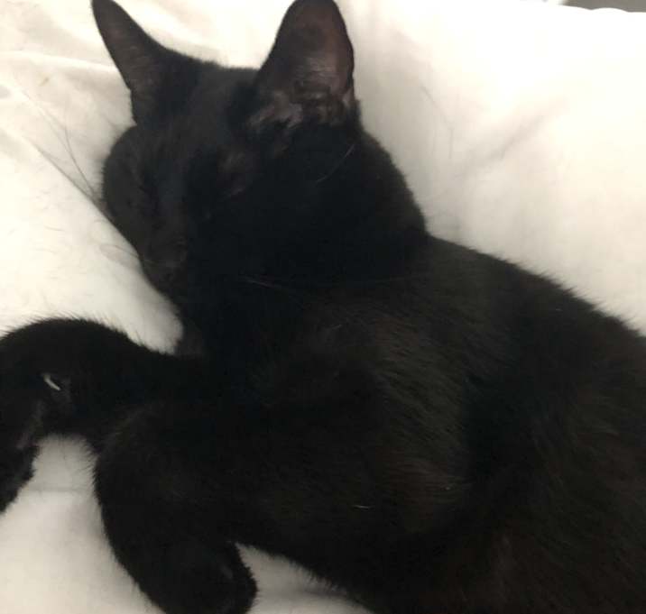 Photo of Batman