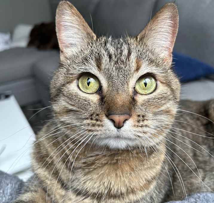 Photo of Echo