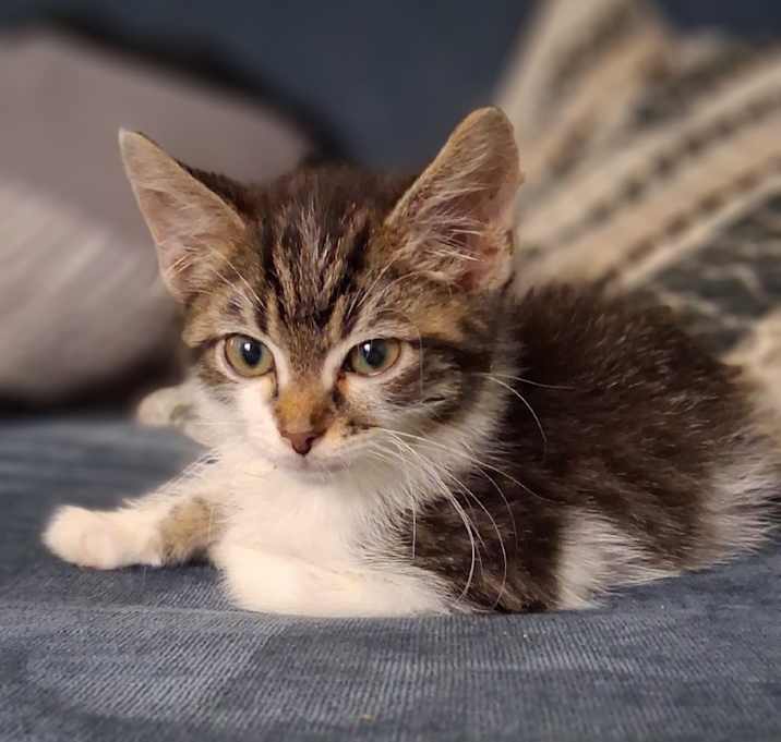 Photo of Lenny