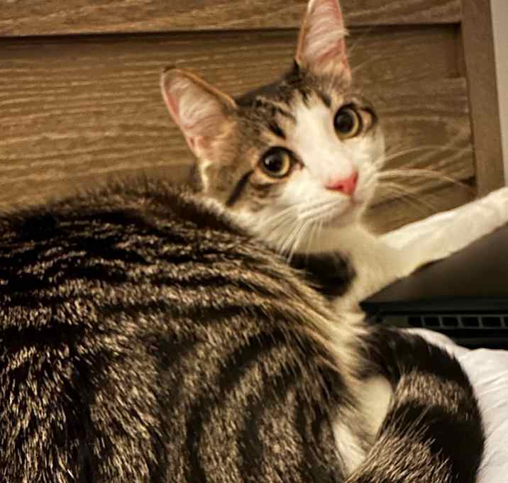 Photo of Fin