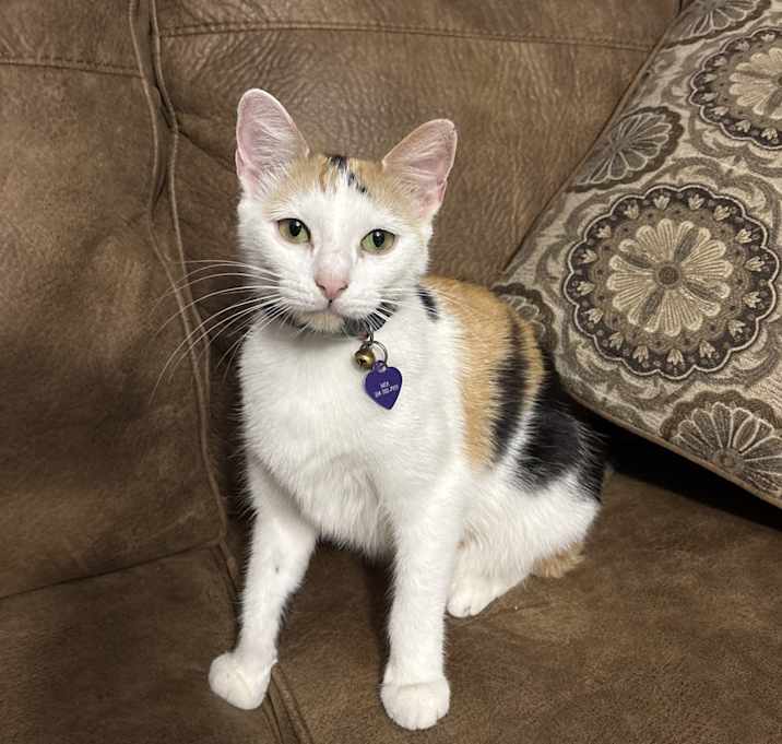 Photo of Mia
