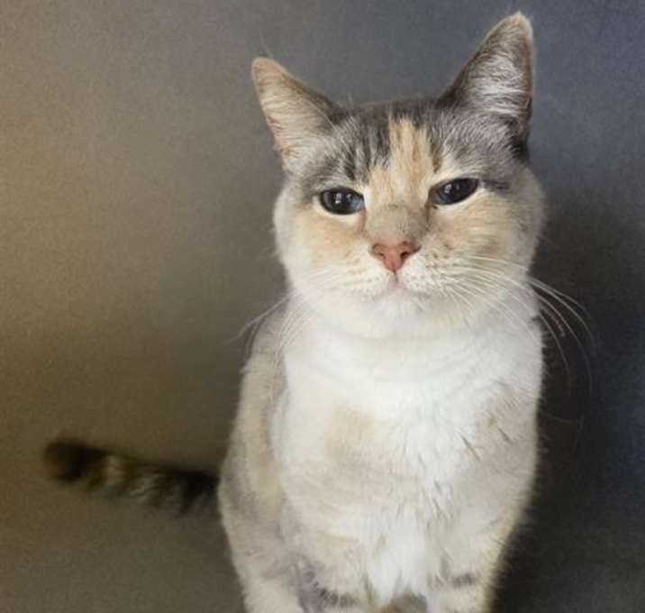 Photo of BELLA