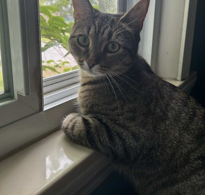 Photo of Remy